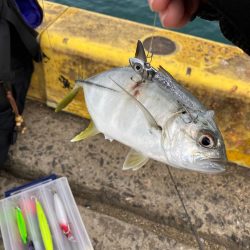 鬼池での初朝マズメ