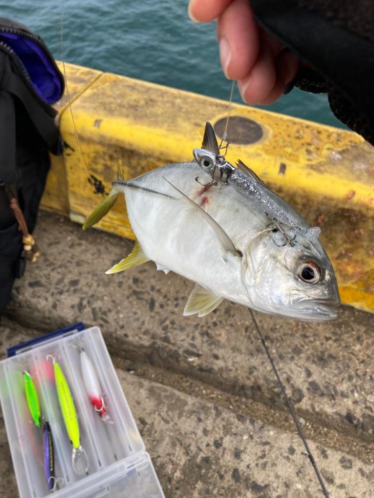 鬼池での初朝マズメ