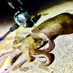 月夜のエギング！