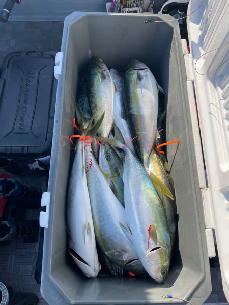 まだまだタチパターン