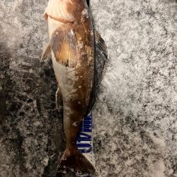 オフショアジギング