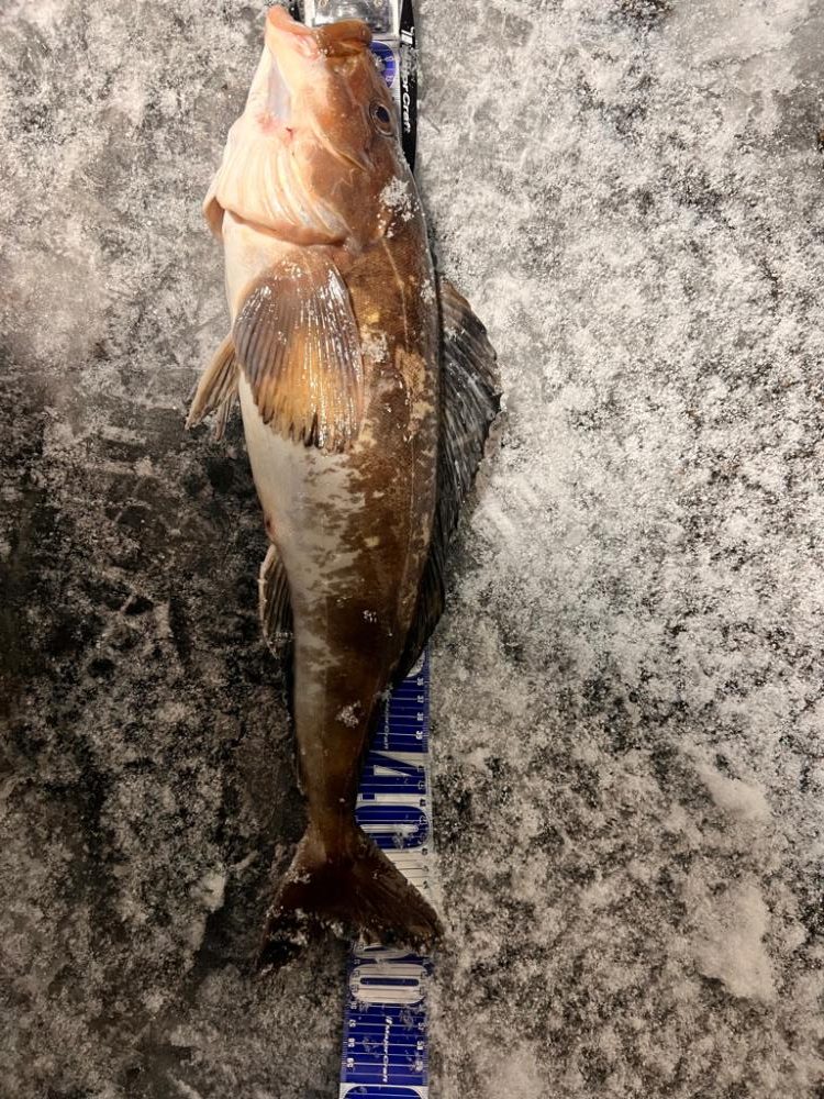 オフショアジギング