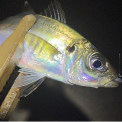 軽量ジグヘッド