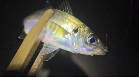 軽量ジグヘッド