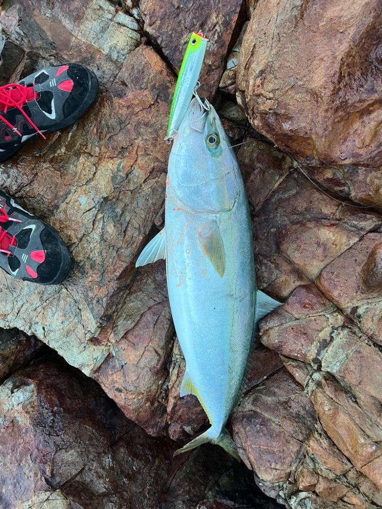 外泊泊まり込みメジロ水面爆発💣💥