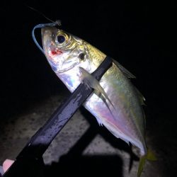 爆風の中でも宵姫爽なら何とかなる！