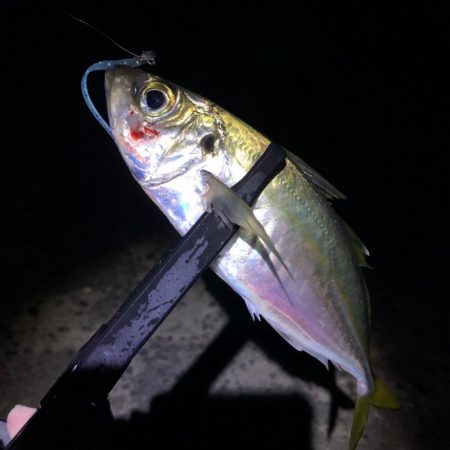 爆風の中でも宵姫爽なら何とかなる！