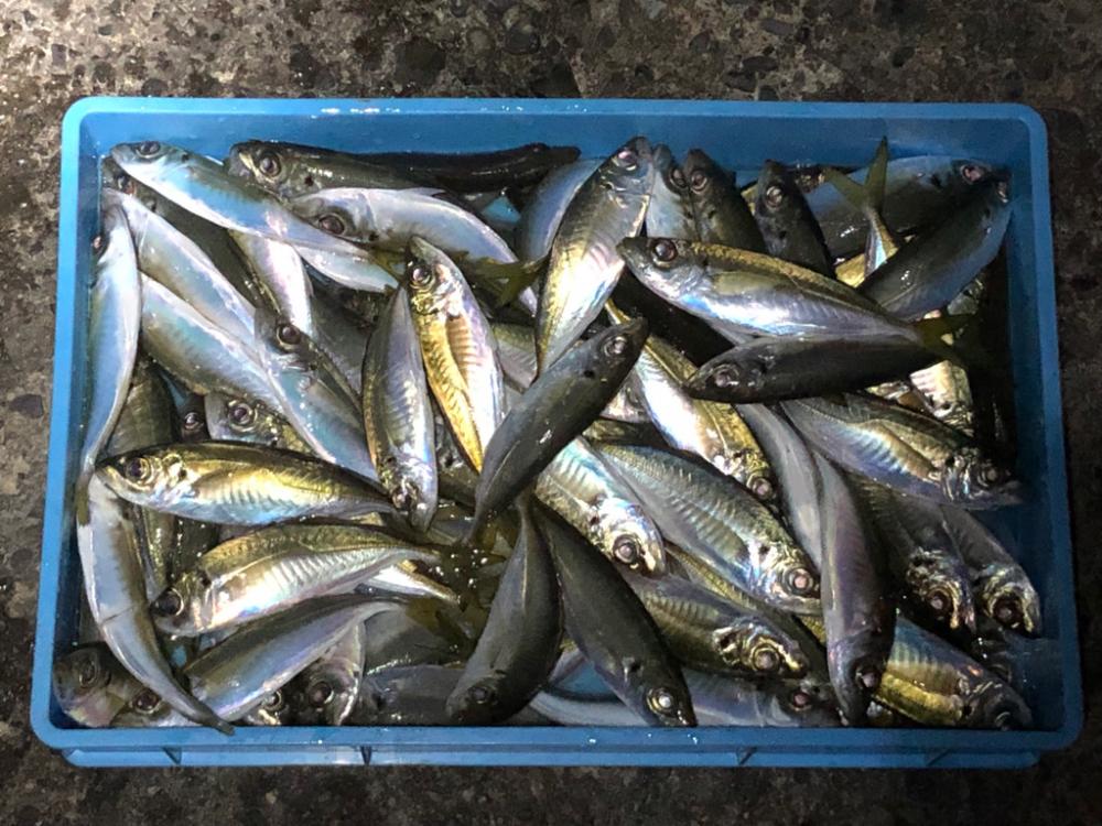 釣り納め！