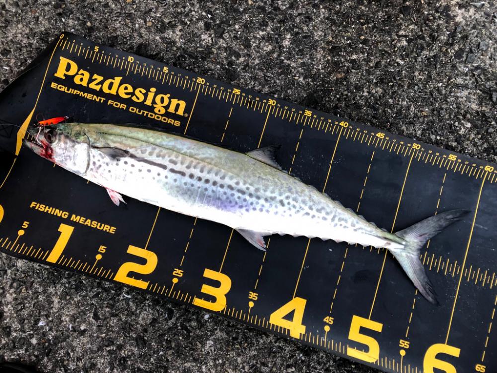 キャスティングゲームで