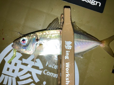 ミニにはミニで