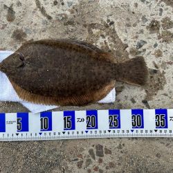 2022年 釣り納め カレイ投げ釣り