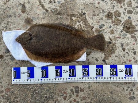 2022年 釣り納め　カレイ投げ釣り