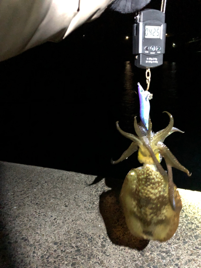 【伊根〜京丹後】12月クリア!