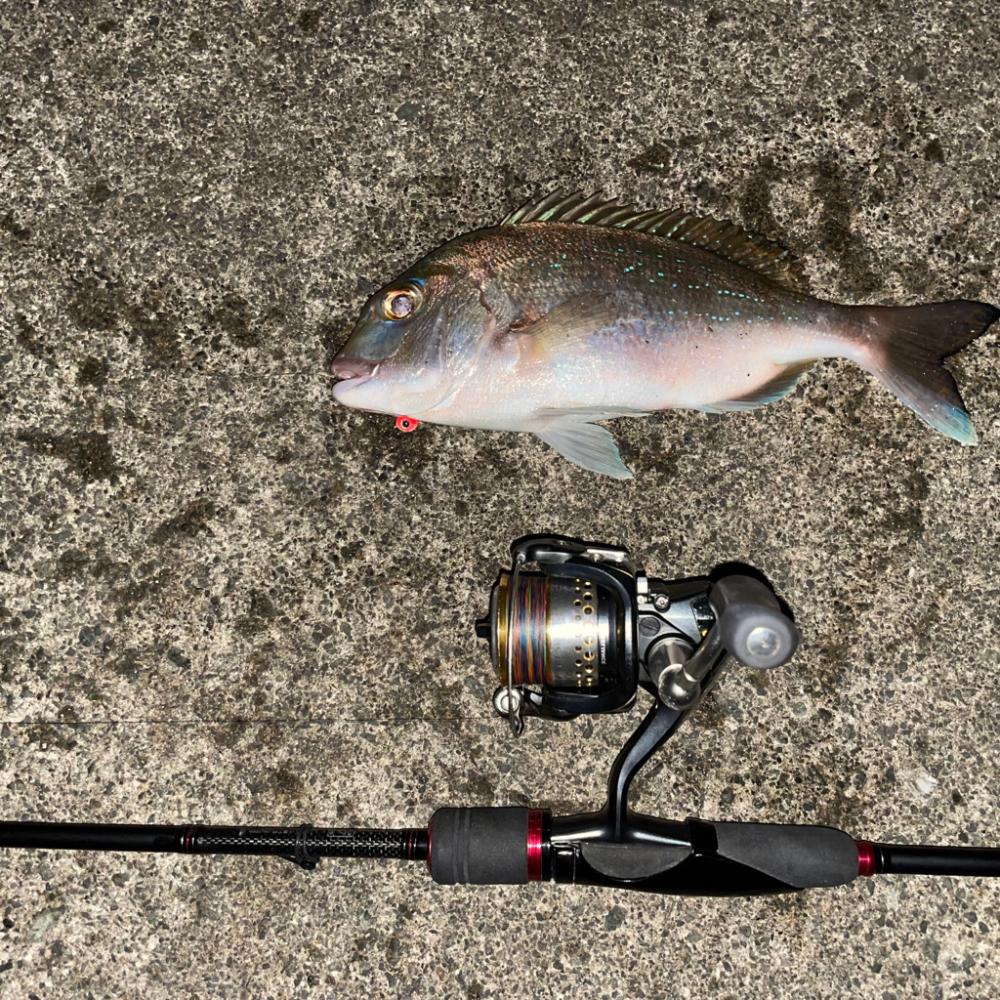 ライトタックルゲーム