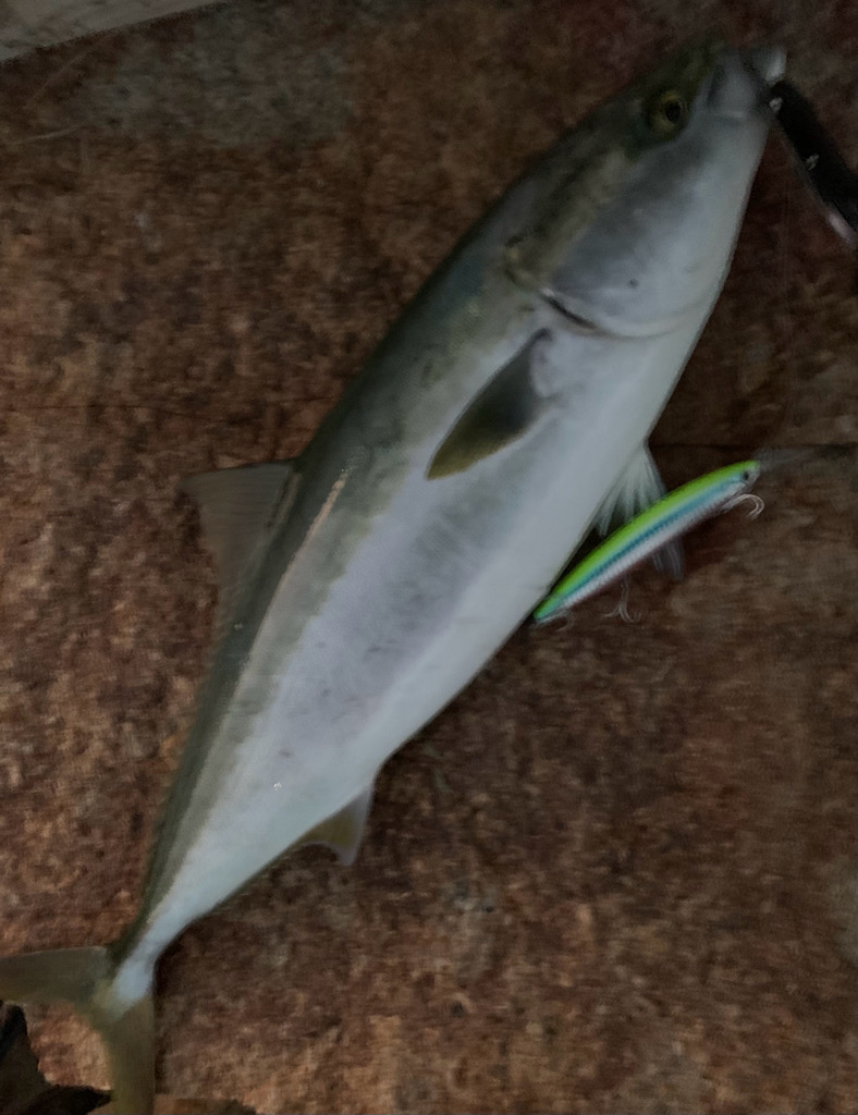 そろそろ、終盤戦!