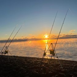 寒波の中イマイチ
