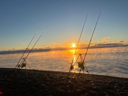 寒波の中イマイチ