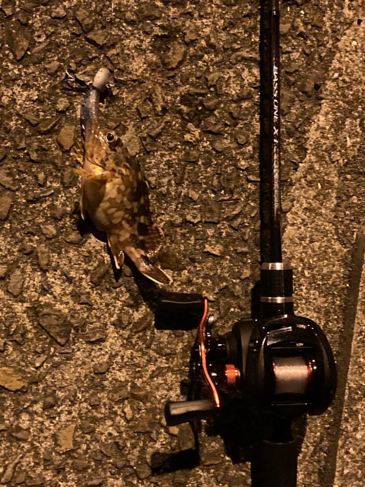 ベイトタックル練習中