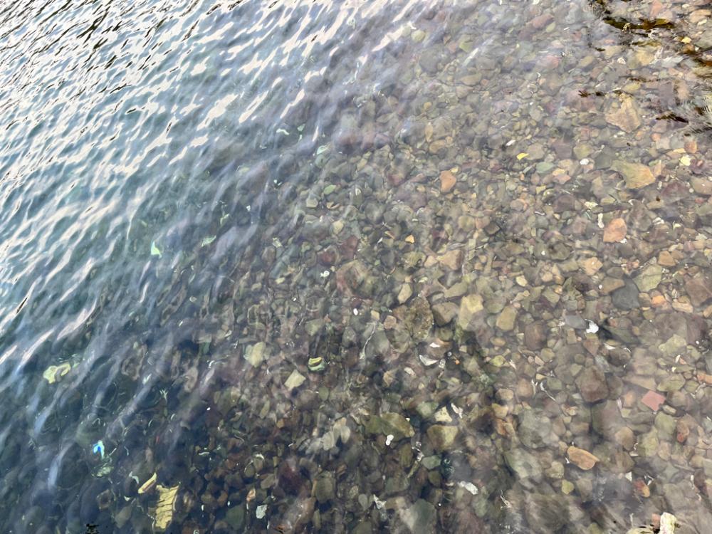 徳島県まで初見で行ってみた結果