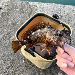 安物タックルでもちゃんと釣れるのか？