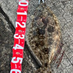 丸の海(丸呑み)