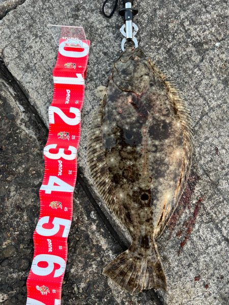 丸の海(丸呑み)