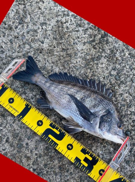 釣り場に着くと