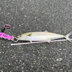 初の日本海デビュー!