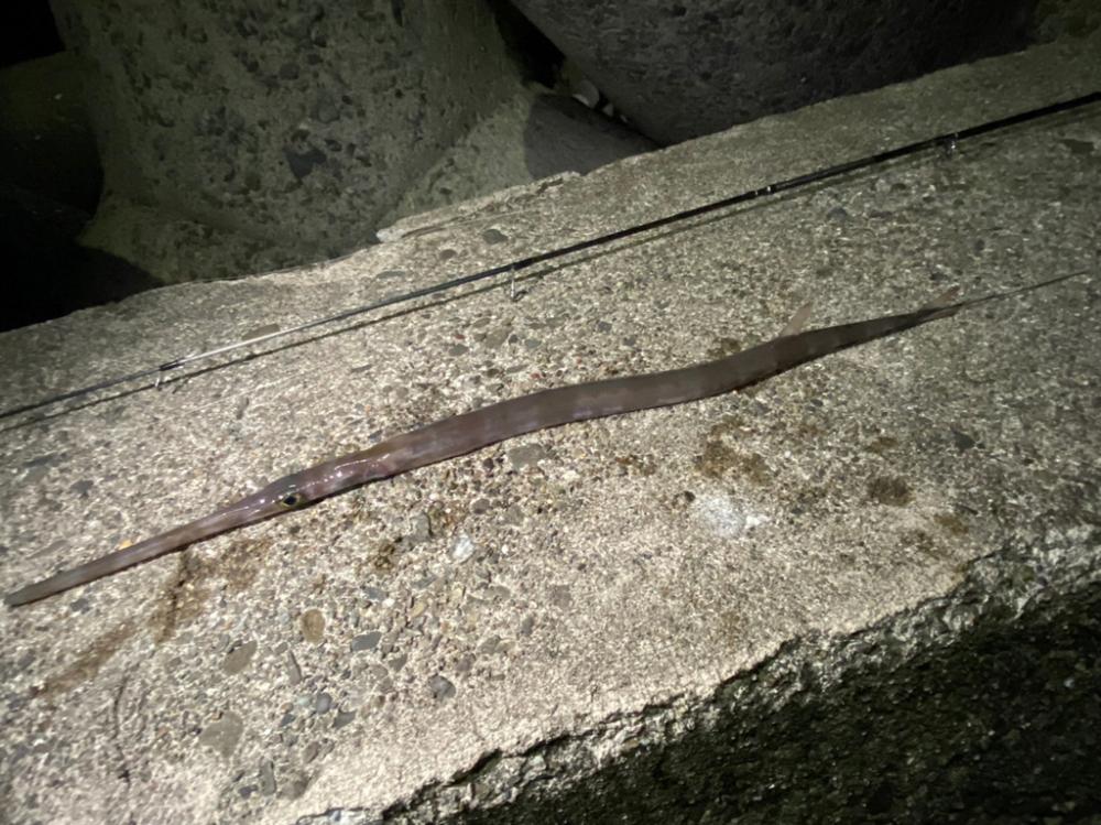 釣り納めパート2