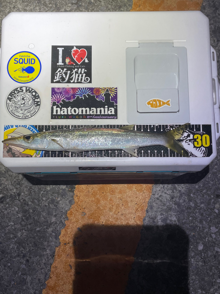 ボクにもサンタが来たみたい