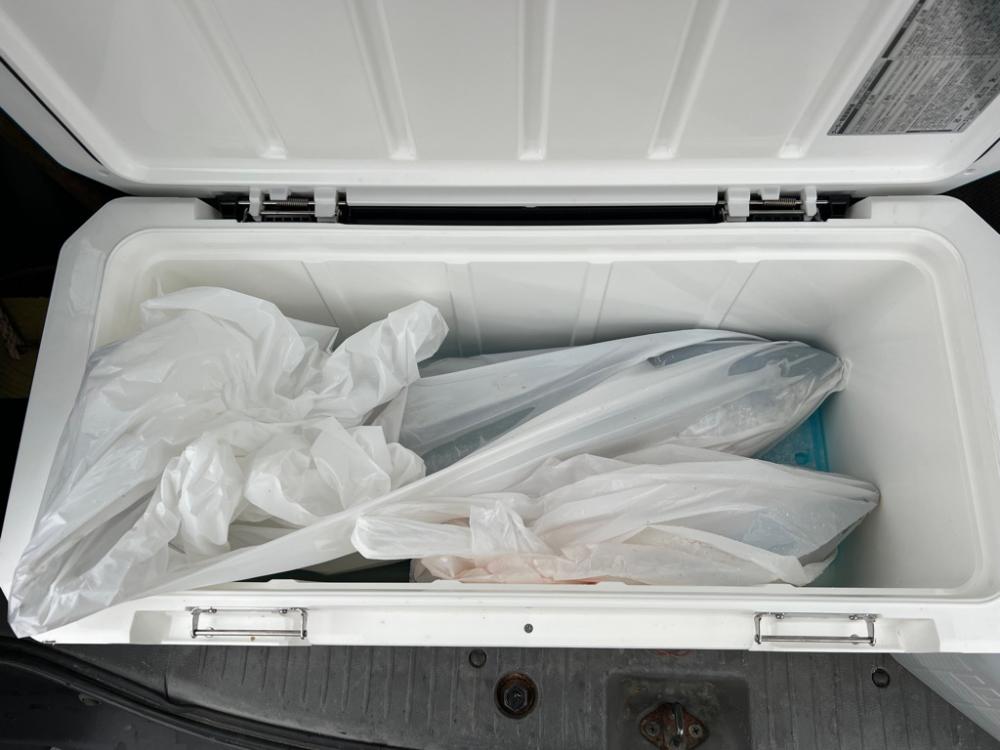 柏島ショアジギング