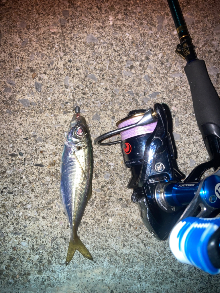 インチキアジング