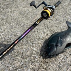 近場でグレ釣り
