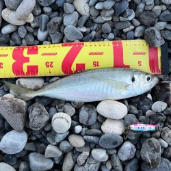 ただ巻きのススメ