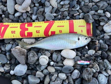 ただ巻きのススメ