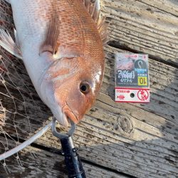 朝イチは超高活性！