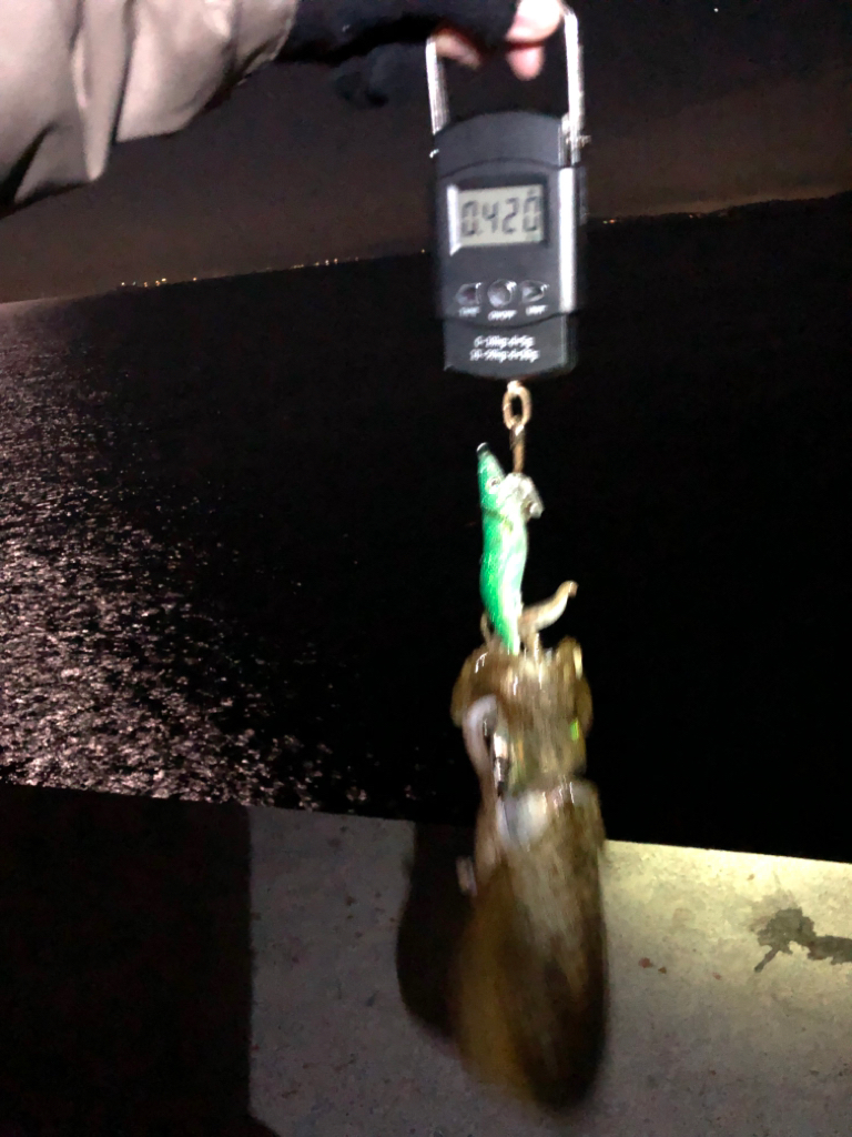 【姫路〜淡路島】大物小物両狙いプラン