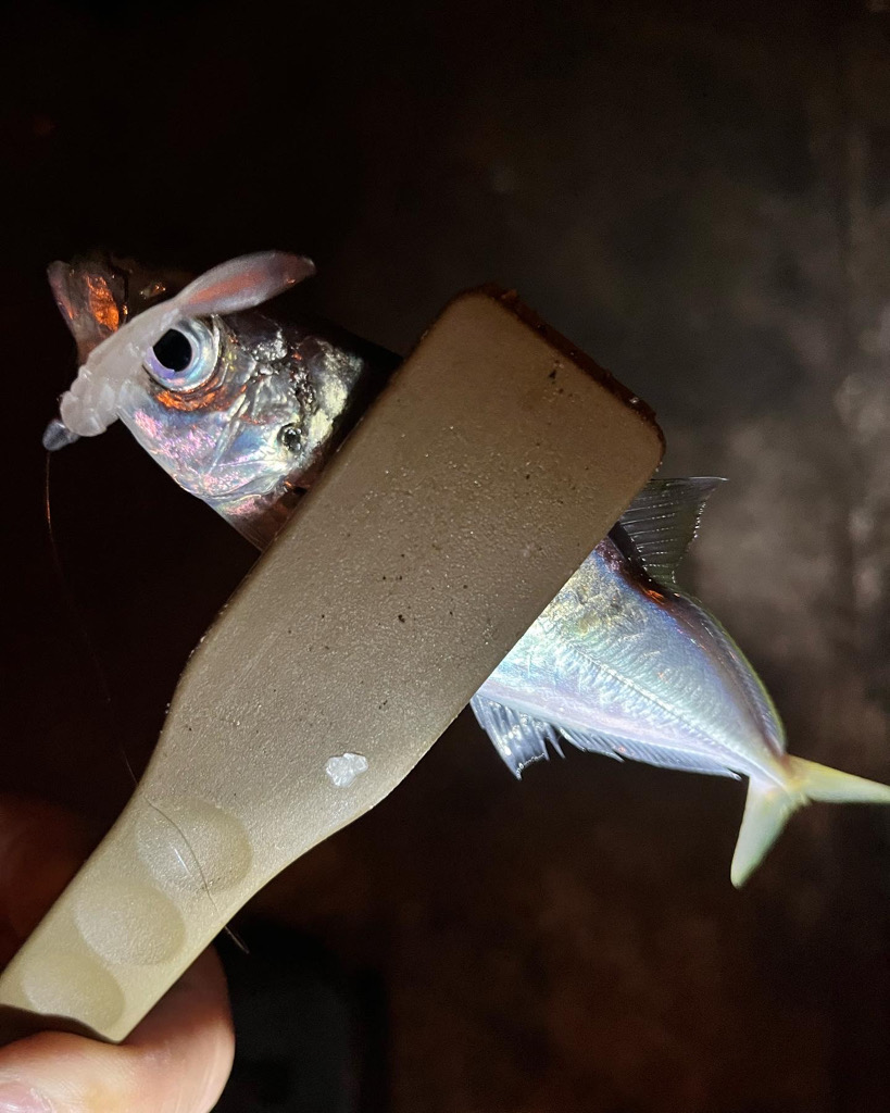 休みの日の恒例行儀w