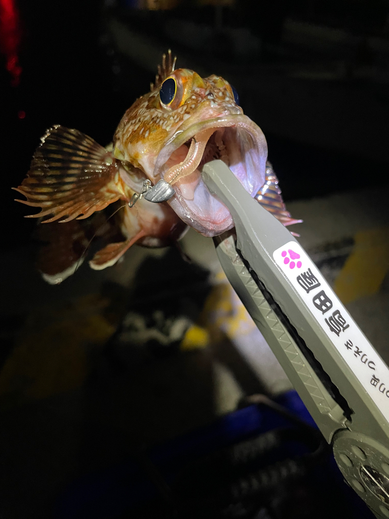 北風ピューピュー