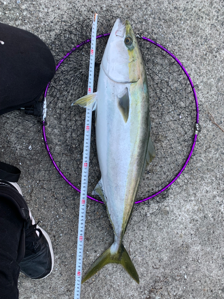 青物りんこやx4