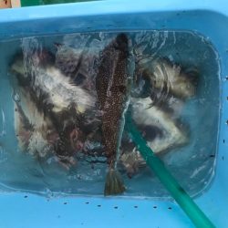 明石ショウサイカットウ