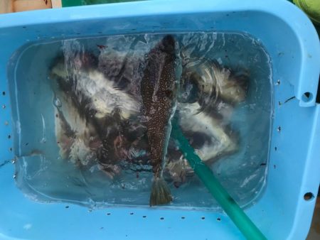 明石ショウサイカットウ