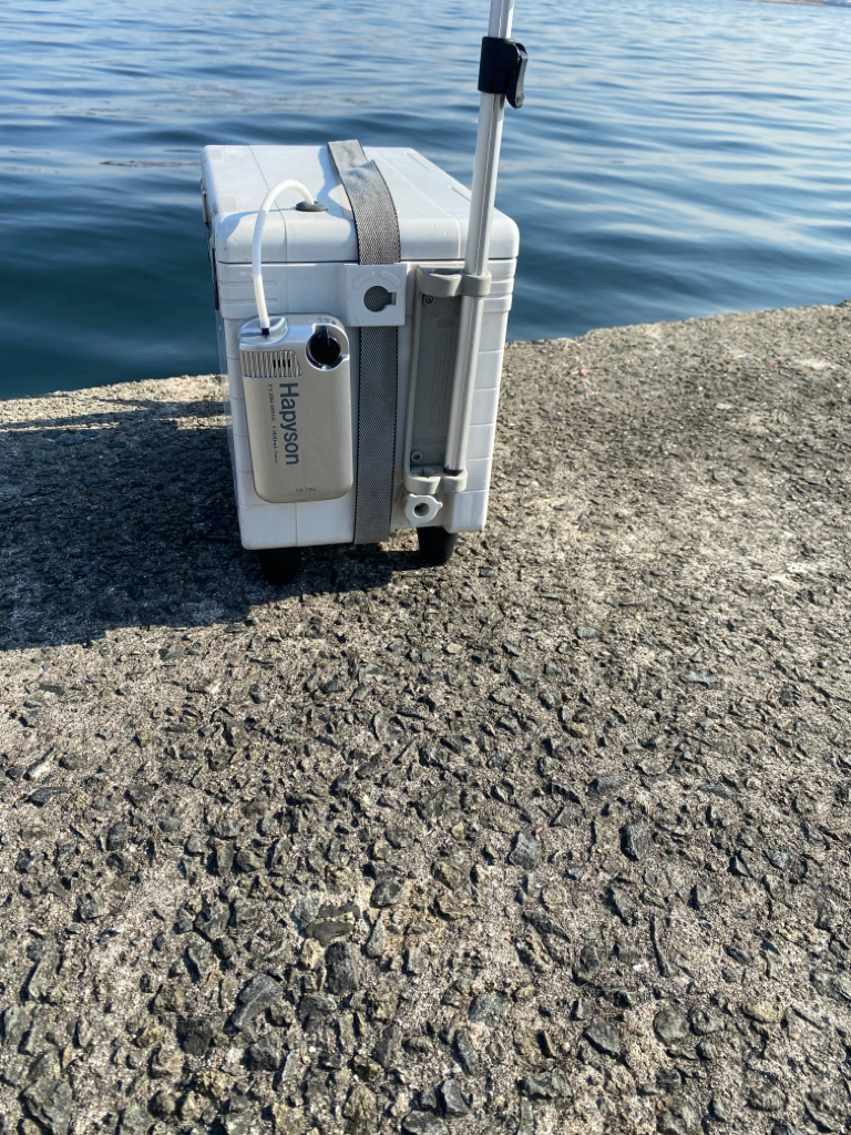 チヌ49 エビ撒き釣り