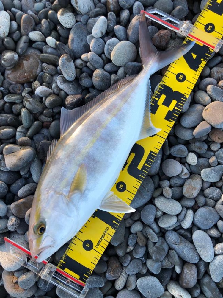 再び遠投カゴ釣り