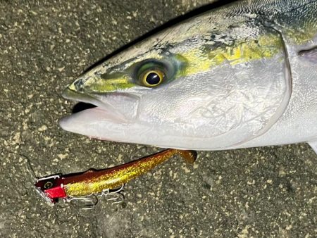 フリフリシャッドに死角なし！