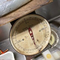 今季７杯目キロアップ