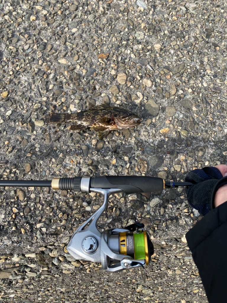 デイメバリング