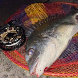 ヘチってきました