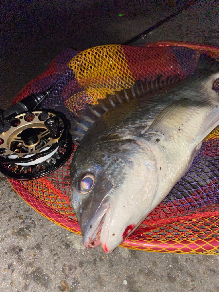 ヘチってきました