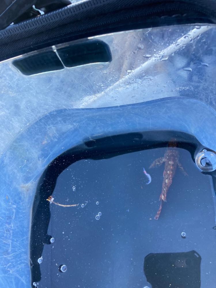 寒い中小物釣り